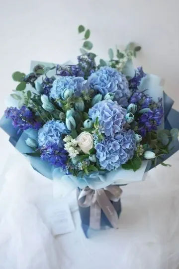 Hydrangeas